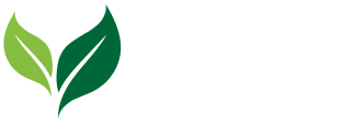 Mithila Foods
